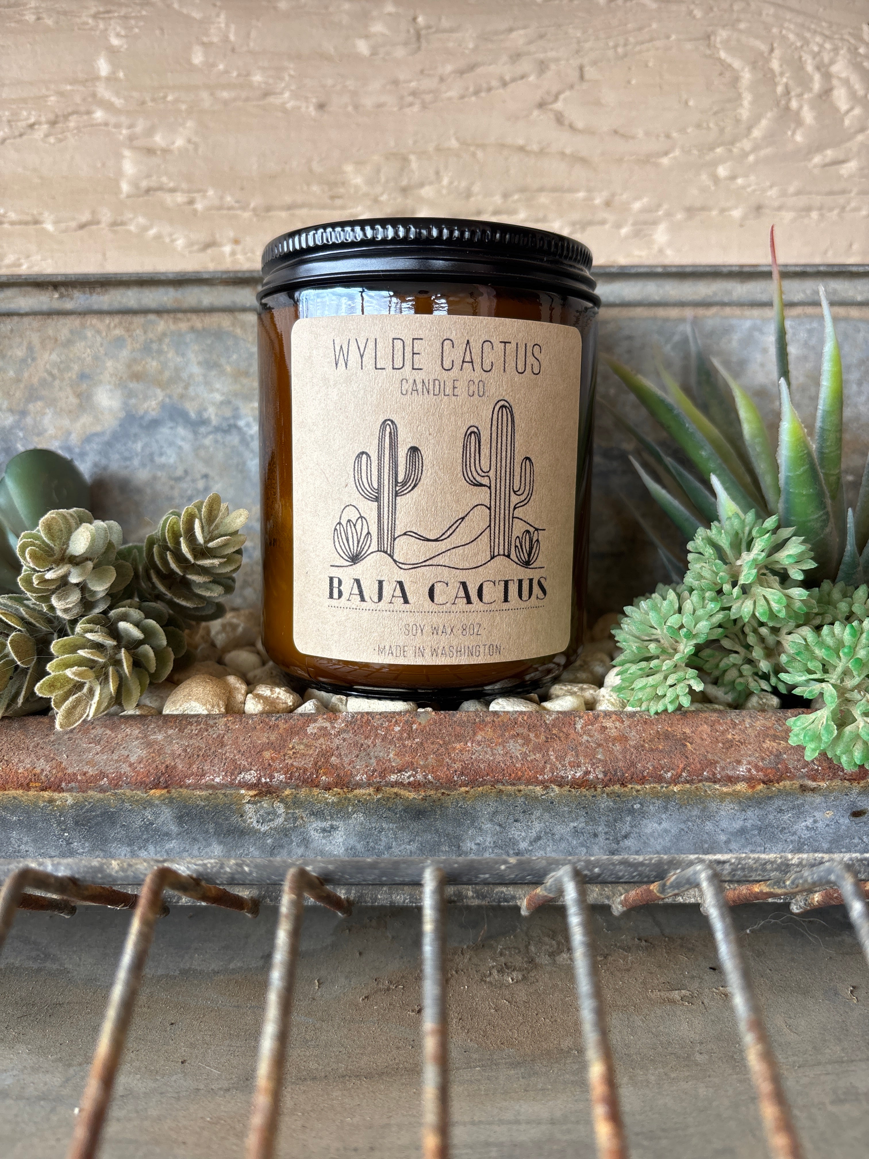 Baja Cactus 8oz Candle – Wylde Cactus Candle Co.